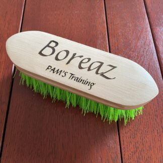 Paardenborstel hard groen met naam of logo
